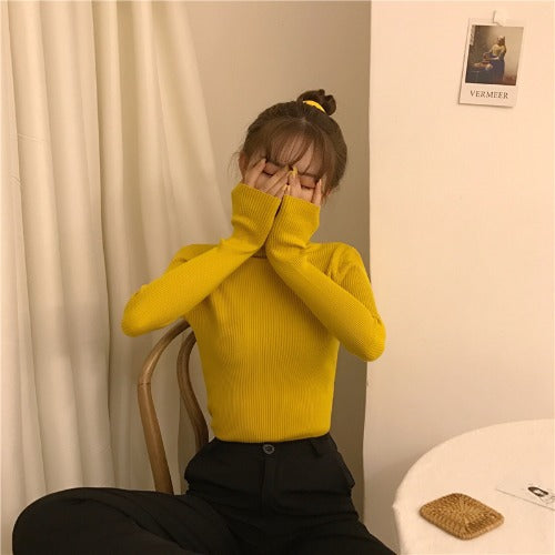 Women's Slim-Fit Turtleneck Knit Top – Long Sleeve