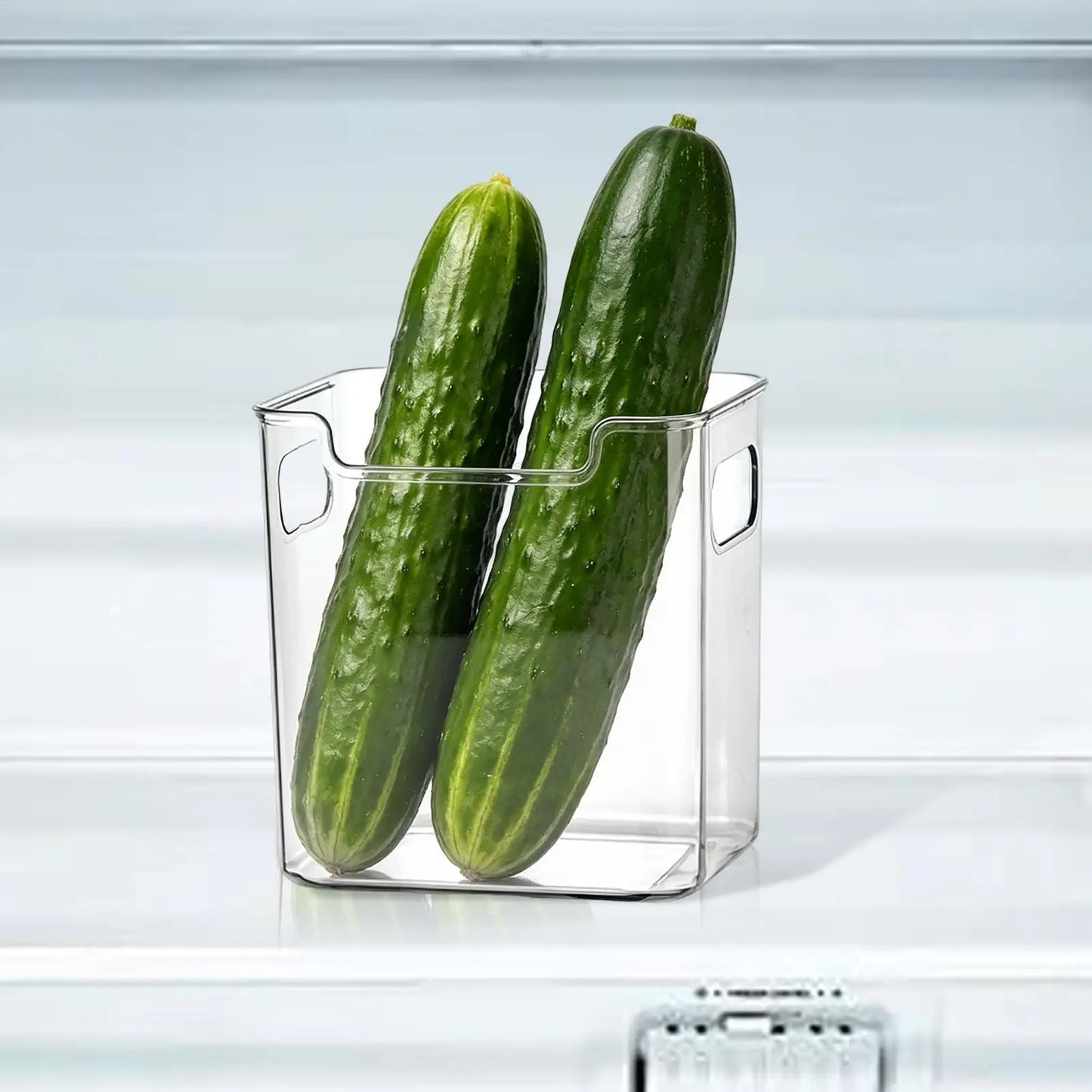 Clear Refrigerator Storage Bins with Handles